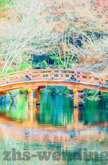 廖彩杏思维导图-廖彩杏思维导图，解锁英语启蒙教育的奥秘